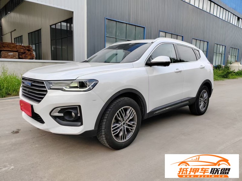  19年長(zhǎng)城哈弗H6轎車 