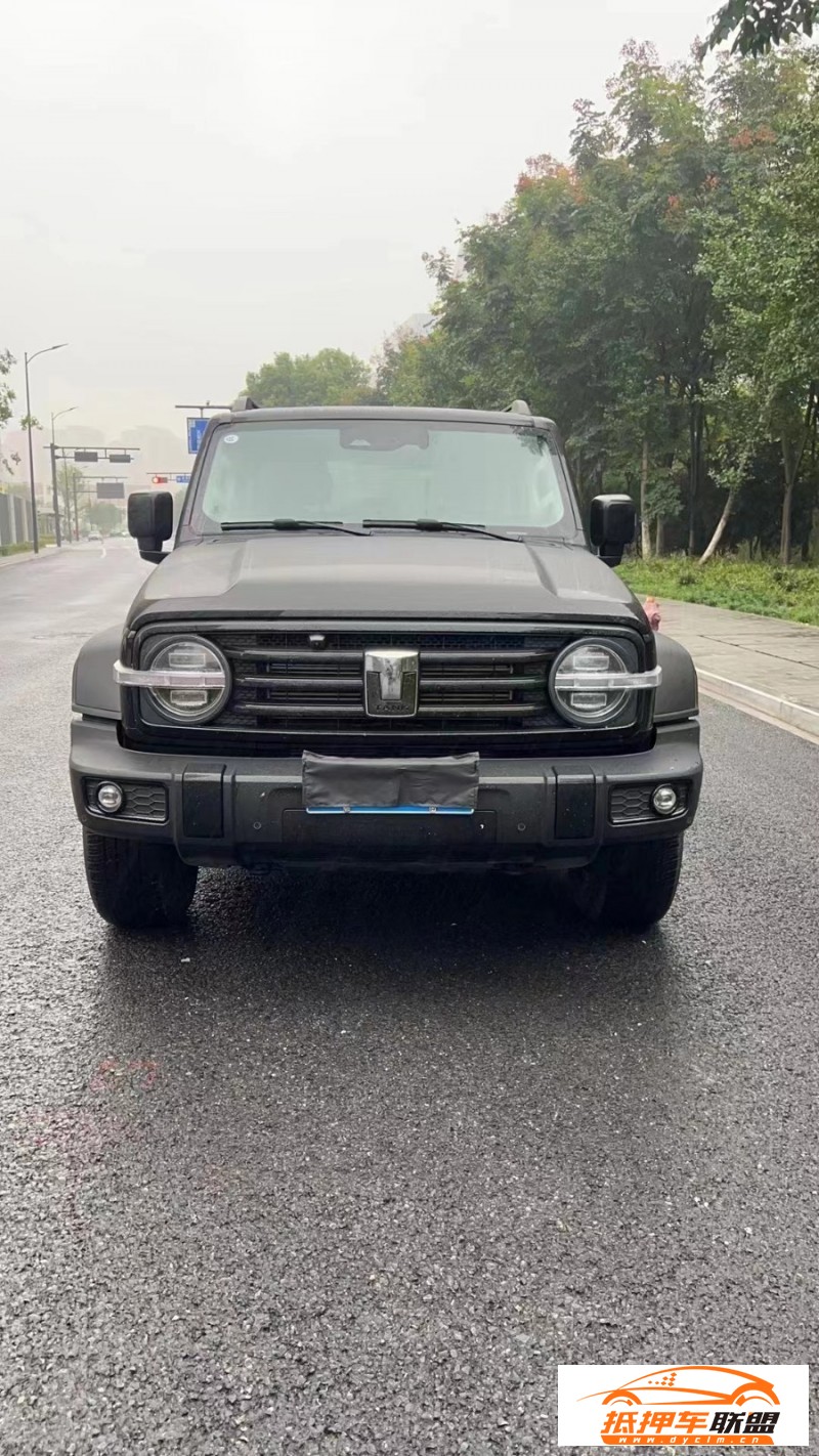  23年WEY坦克300SUV 