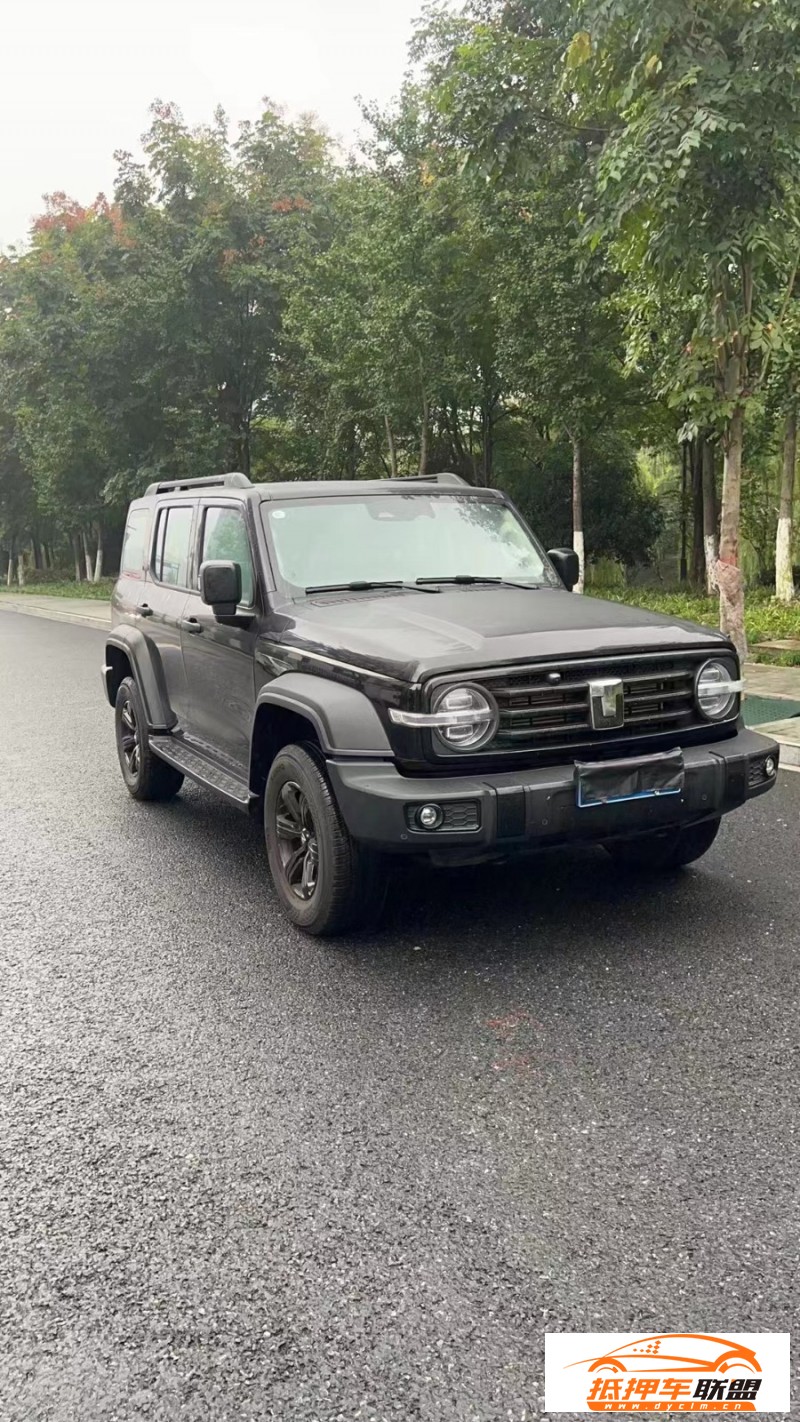  23年WEY坦克300SUV 