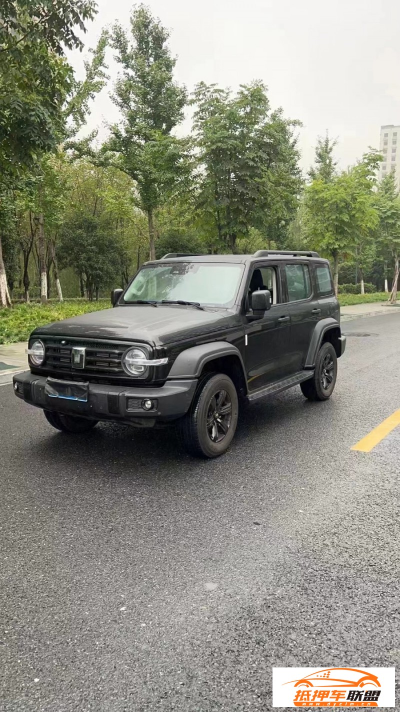  23年WEY坦克300SUV 