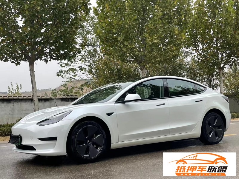  22年特斯拉MODEL 3轎車 