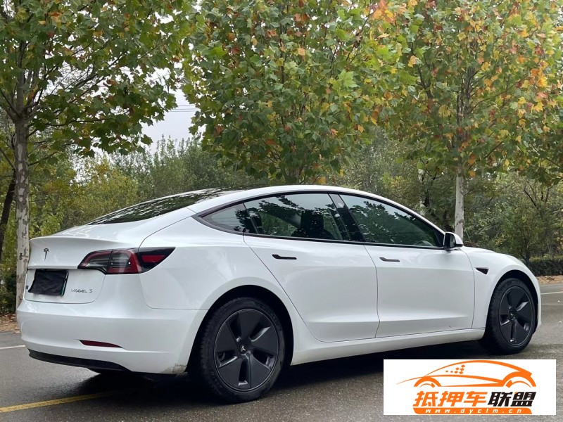  22年特斯拉MODEL 3轎車 