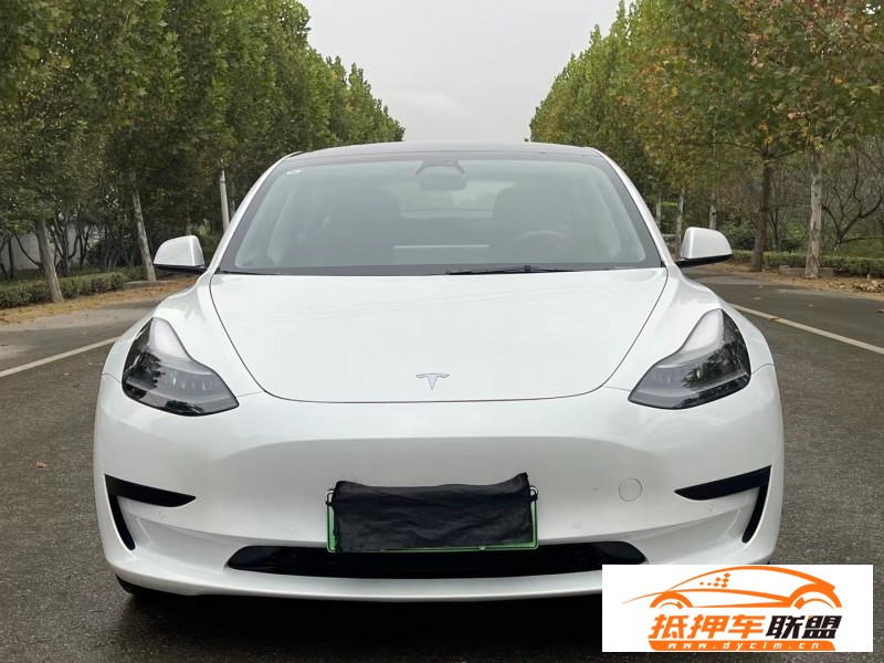  22年特斯拉MODEL 3轎車 
