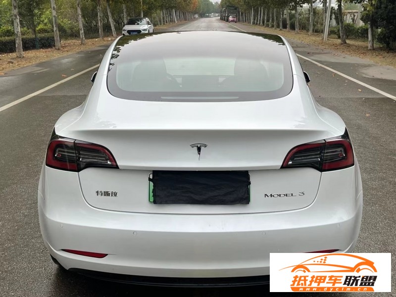  22年特斯拉MODEL 3轎車 