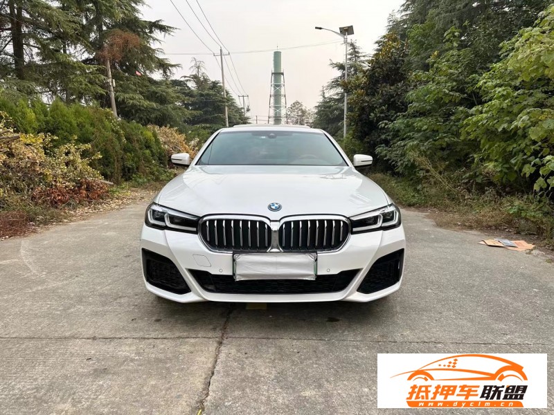  23年寶馬5系轎車(chē) 