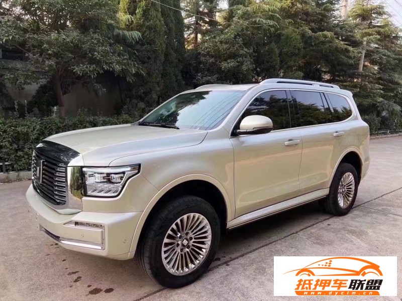  22年WEY坦克500SUV 