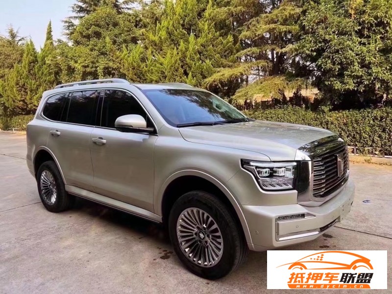  22年WEY坦克500SUV 