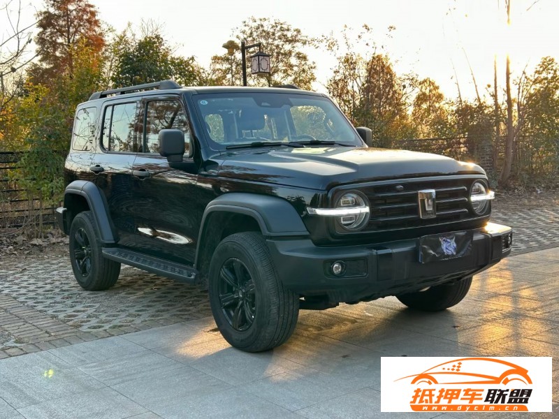  23年WEY坦克300SUV 