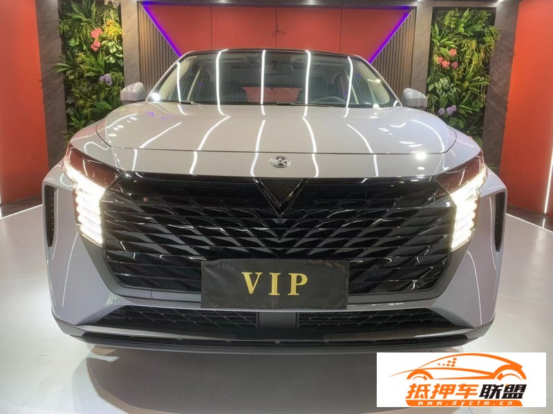  23年啟辰大VSUV 