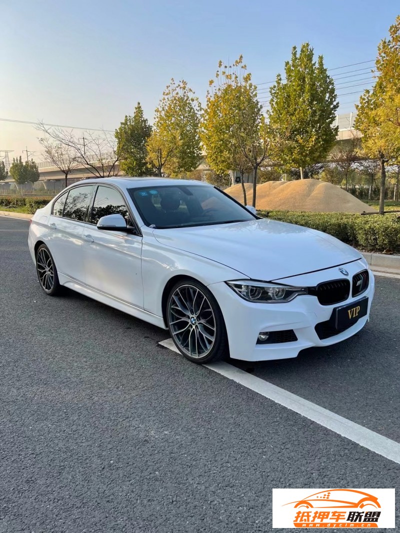  18年寶馬3系轎車 
