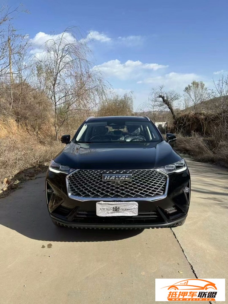  23年長(zhǎng)城哈弗H6轎車(chē) 