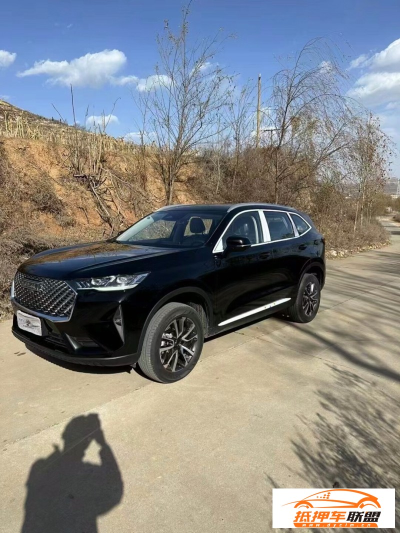 23年長(zhǎng)城哈弗H6轎車(chē) 
