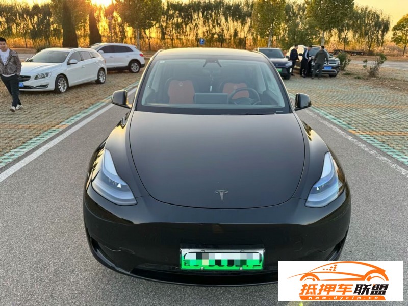  23年特斯拉Model Y轎車(chē) 