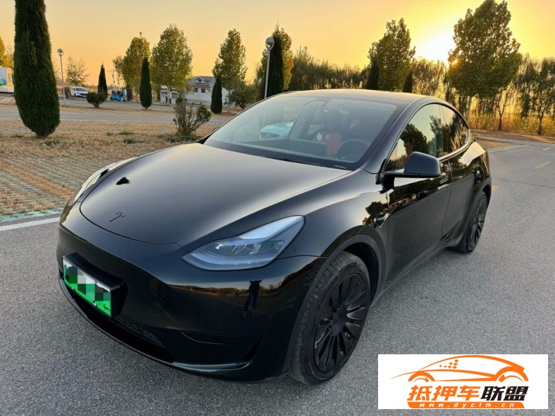  23年特斯拉Model Y轎車(chē) 
