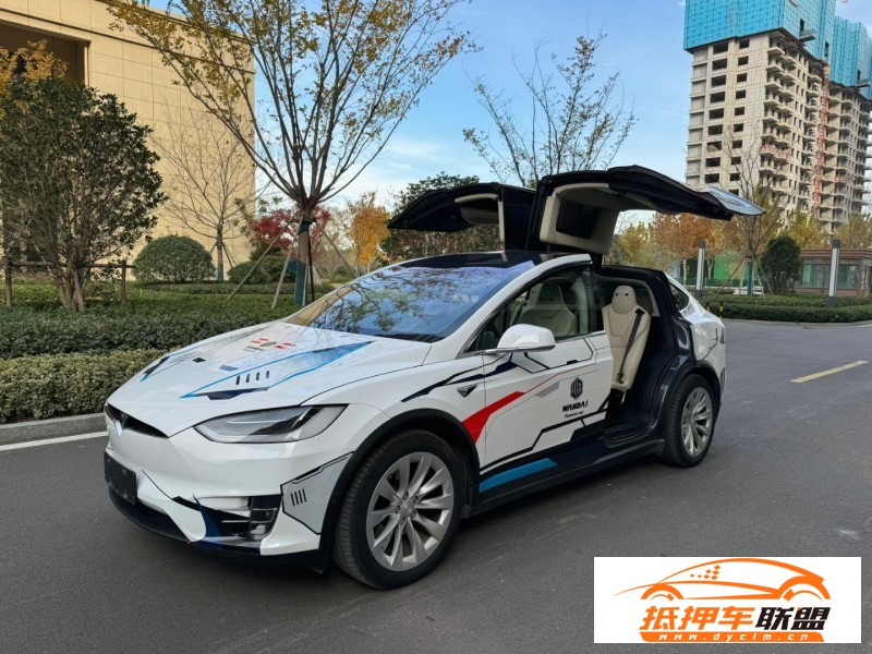  19年特斯拉MODEL X轎車 