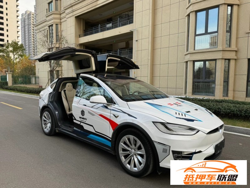  19年特斯拉MODEL X轎車 