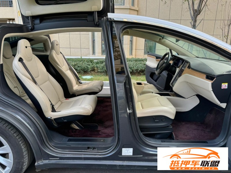  19年特斯拉MODEL X轎車 