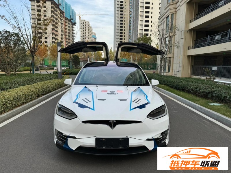  19年特斯拉MODEL X轎車 